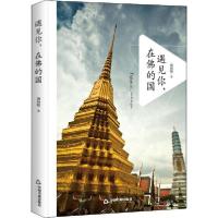 正版新书]遇见你,在佛的国汤向阳9787506849364