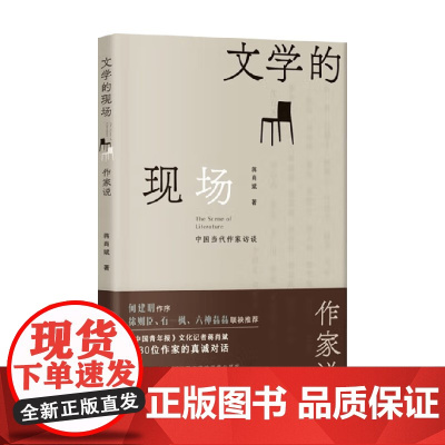 文学的现场 作家说 蒋肖斌 著 文学研究