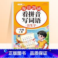 [一年级上册]看拼音写词语 [正版]一年级二年级看拼音写词语字帖三四五六年级上册小学生语文人教版生字默写同步组词专项训练