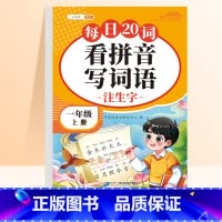 [一年级上册]看拼音写词语 [正版]一年级二年级看拼音写词语字帖三四五六年级上册小学生语文人教版生字默写同步组词专项训练