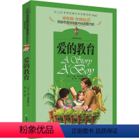 爱的教育 [正版]小巴掌童话 注音版彩图张秋生一年级二年级课外书小学生课外阅读书籍儿童故事书6-8-12周岁童话带拼音畅