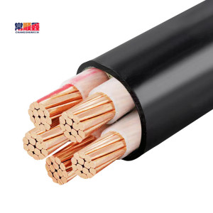 常顺鑫 低压铜芯电缆ZC-YJV4×185+1×95 米