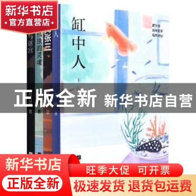 正版 里下河青年文学写作计划(共4册) 王锐//汤成难//王忆//陆秀