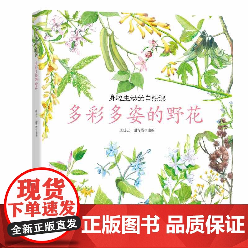身边生动的自然课多彩多姿的野花少儿百科知识大全 科普类书籍小学 植物王国小学生科学读物漫画书青少年版儿童十万个为什么图鉴