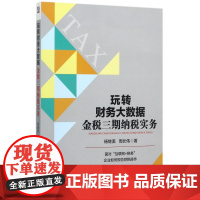 玩转财务大数据(金税三期纳税实务)