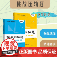 2025挑战压轴题 中考冲刺系列 数学 物理 强化训练篇+精讲解读篇 初中复习冲刺教辅 马学斌 华东师范大学出版社