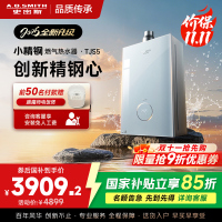 史密斯佳尼特[小精钢TJS5]16升增压零冷水燃气热水器 国家补贴 JSQ31-TJS5 安全守护 持久恒温 新品