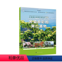 [正版]图书多姿多彩的黄山植物/大美黄山自然生态名片丛书尹华宝 编著9787569941 时代华文书局