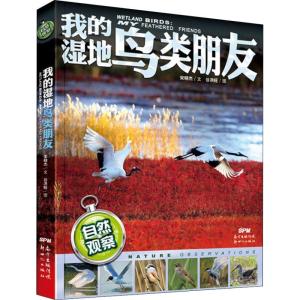 正版新书]我的湿地鸟类朋友宋晓杰 著 谷洪旺绘9787558311956
