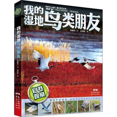 正版新书]我的湿地鸟类朋友宋晓杰 著 谷洪旺绘9787558311956