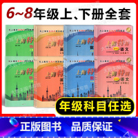 套装 八年级下 [正版]2024上海特训 六七八年级上下册 语文数学英语N版物理 678年级第一二学期语数英物 沪教版初