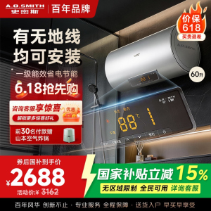 AO史密斯60升电热水器 无地线可安装 专利安全隔电 金圭内胆 速热节能 一键中温保温SCE-60DX2 预约洗浴