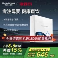 汉斯顿/Hunsdon净水器家用厨房自来水过滤器厨下式无桶大流量净水机320EY 120升/h不用电无废水保留矿物质