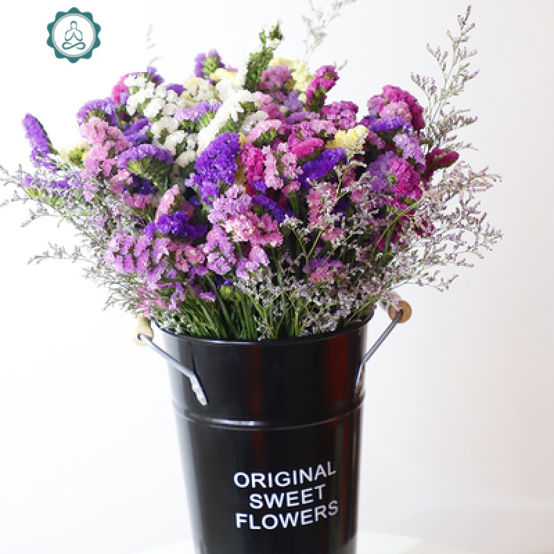 干花花束勿忘我真花装饰摆件客厅插花论斤卖满天星 封后 黄水晶大束