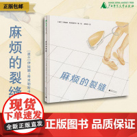 麻烦的裂缝 〔波兰〕伊娃娜•奇米勒斯卡/著 3—8岁 启蒙认知 日常认知 艺术审美 人生哲理 思辨 魔法象 广西师范