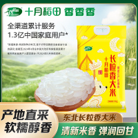 十月稻田长粒香大米2.5kg东北黑龙江长粒香粳米5斤真空包装