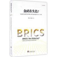 金砖在失色?"金砖国家治理体系和治理能力现代化建设