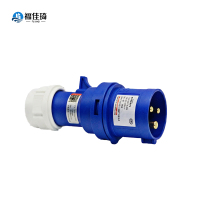 福佳琦 插头 DEP2-023 32A 个