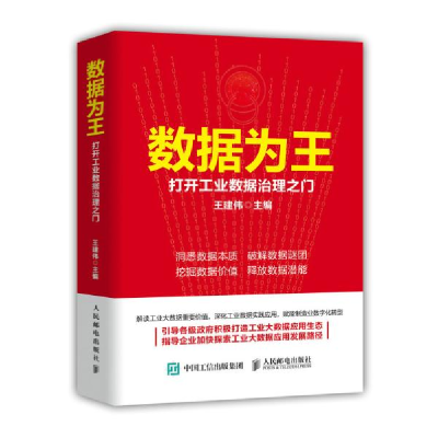正版新书]数据为王:打开数据治理之门 经济理论、法规 王建伟王