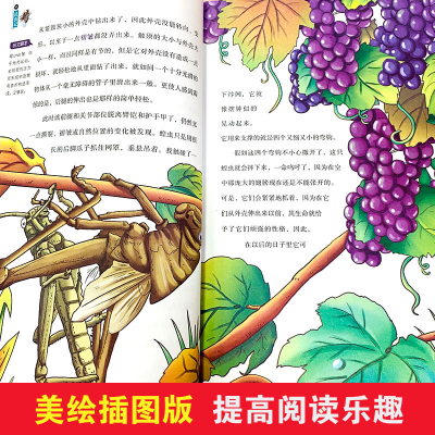 正版新书]昆虫记 美绘插图版(法)让·亨利·法布尔 著 夏东泽 编97
