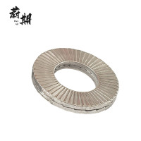 蔚期 DIN25201不锈钢双叠自锁垫圈 M20 个