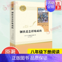 [正版]钢铁是怎样炼成的 人教版初中八年级下册语文原著书完整版 人民教育出版社 初中生八年级下册语文课外阅读名著