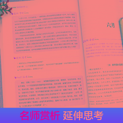 [M]语文名师汪晓风精评 爱的教育-9787513145794