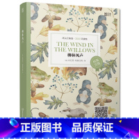 [正版]含音频床头灯英语读本系列3000词 柳林风声纯英文版书籍 高中生英语读物课外阅读美文英语小说书籍可搭书虫系列高