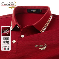 鳄鱼恤CROCODILE 专款春秋季POLO衫休闲通勤长袖商务百搭男士T恤