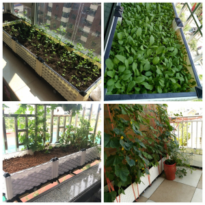 美帮汇加深种植箱加厚种菜盆阳台种花楼顶种菜花盆塑料长方形种菜箱