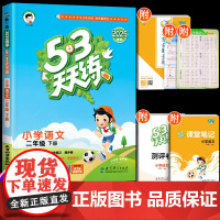 2025新版53天天练二年级下册上册语文人教版部编同步练习册阅读理解专项训练书试卷测试题5+3五三5.3试卷全套课本辅导
