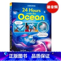[正版]Usborne出品 在海洋的24小时 英文原版 24 Hours Under the Ocean 精装全彩绘本