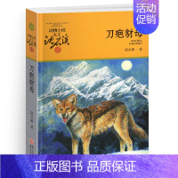 刀疤豺母 [正版]混血豺王沈石溪小学四年级五年级全集全套书浙江少年儿童出版社非注音版完整版动物小说大王品藏书系小学生课外
