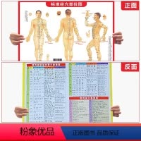 [正版]标准经穴部位图 常见病历灸取穴参考表 常用体穴参考表艾灸注意事项 含 经络图 人体所有的穴位 位置 穴位对照图