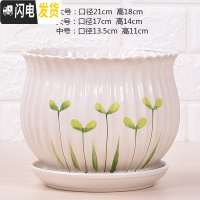 三维工匠特大号带托盘花盆陶瓷大号绿萝兰花家用多肉花盆 5011(豆芽)1个 14cm花盆容器