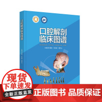 口腔解剖临床图谱 作者: 杜昌连