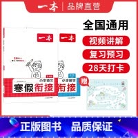 [衔接套装]语文+数学 小学五年级 [正版]25语文数学英语寒假作业衔接训练 阅读囗算练字帖 语文数学寒假训练语文寒假阅