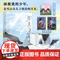 限量亲签 月光沉没 初禾浪漫悬疑代表作 拯救我的少年是雪山尖儿上皎洁的月光 初禾 中国言实出版社 正版书籍
