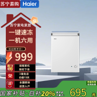 Haier/海尔 BC/BD-100GHW9D 卧式冷柜