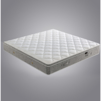 沃灏 软硬双睡床垫1800*2000*240H