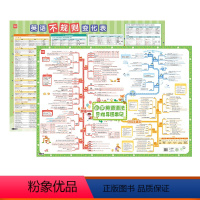 [小学套装]英语语法+不规则变化 初中通用 [正版]易蓓中小学英语不规则变化挂图动词名词形容词过去式知识点汇总时态语法大