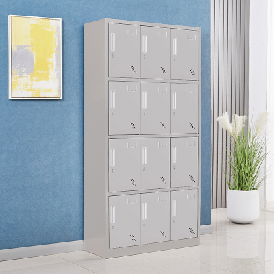 臻远 ZY-BXGA-29 不锈钢304存储柜储物柜 12门更衣柜