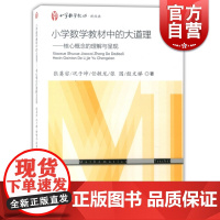 小学数学教材中的大道理 核心概念的理解与呈现 张奠宙 教师教学教案编写参考资料书籍 上海教育出版社