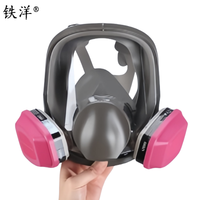 铁洋 呼吸防护面罩 TY-HX017 套