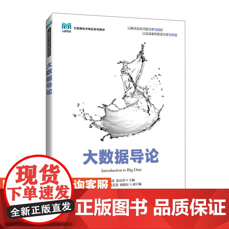 [店教材] 大数据导论 9787115643230 林涛,张良均 人民邮电出版社