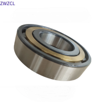 ZWZCL圆柱滚子轴承NJ313