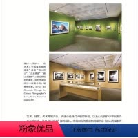 [正版]策展哲学 海蔚蓝著 展览策划 博物馆展览陈列艺术馆展示 展览艺术