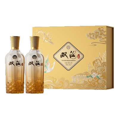 双沟 珍宝坊一品53度500mL*2双瓶礼盒装 浓香白酒送礼1469