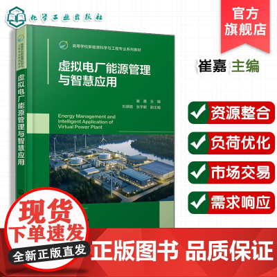 虚拟电厂能源管理与智慧应用 崔嘉 电力系统解决方案 虚拟电厂概念功能发展历程市场价值书籍 高等学校新能源科学与工程教材