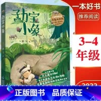 勐宝小象 [正版]勐宝小象 湘女著3-4-5年级2022年福建省暑假读一本好书小学生三四五六年级课外阅读书籍云南大象迁徙